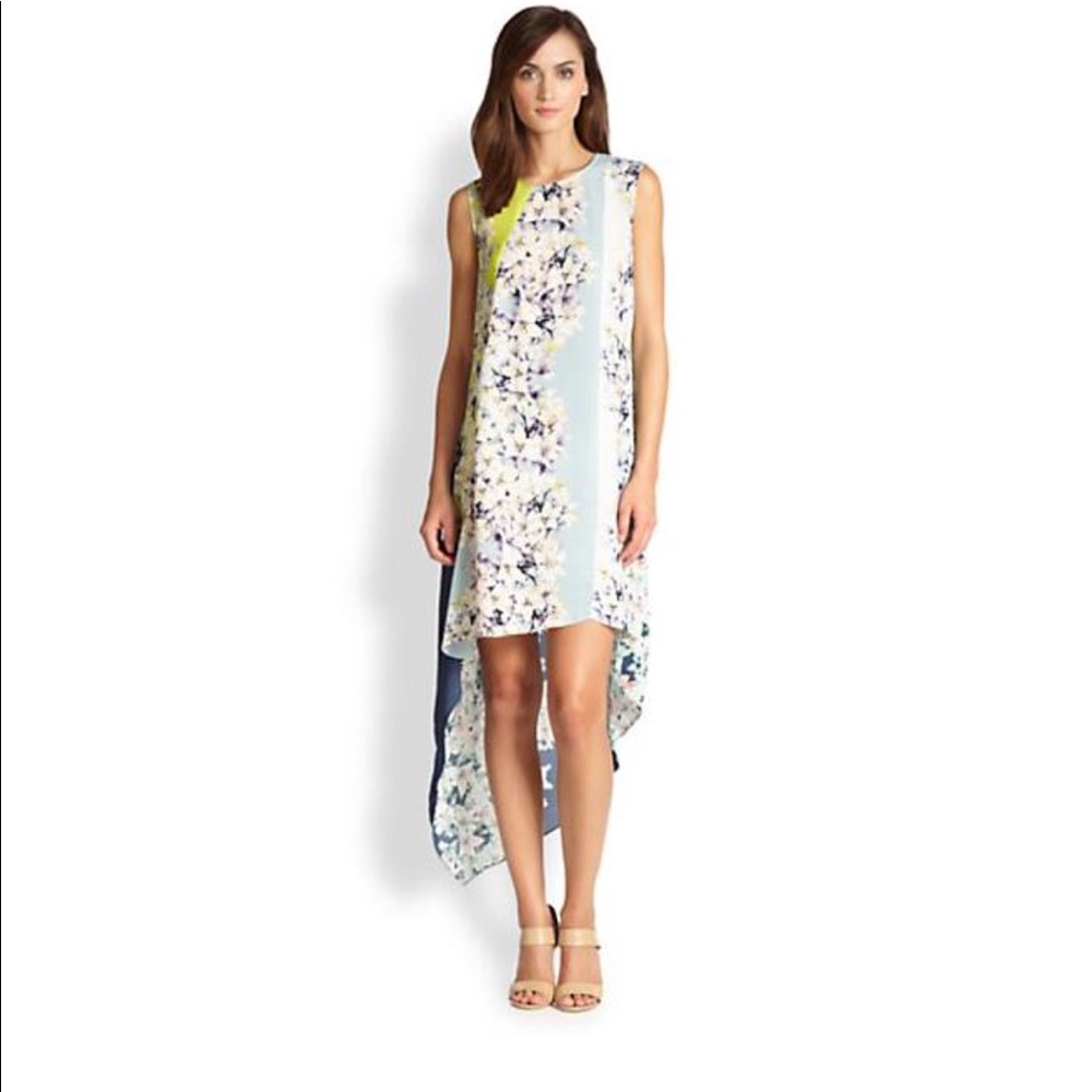 BCBGMAXAZRIA Women's Helene Floral Dress